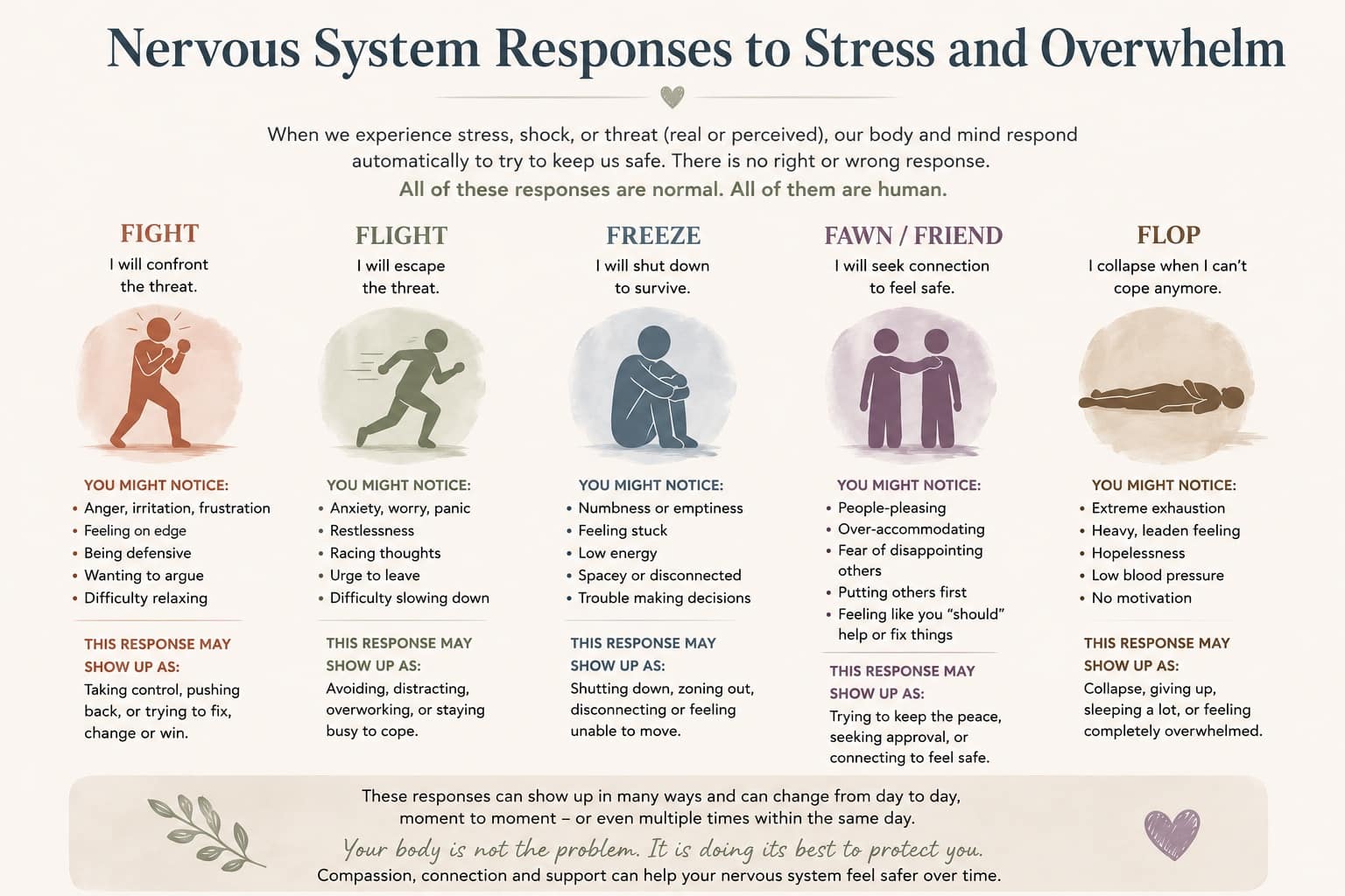 Educational illustration showing the amygdala, hippocampus, prefrontal cortex, and brainstem during grief, trauma, and stress responses.